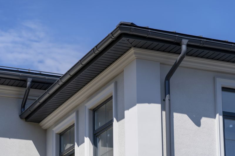 Garage Fascia Replacement in Conroe, TX
